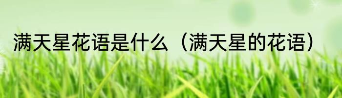 满天星花语是什么（满天星的花语）
