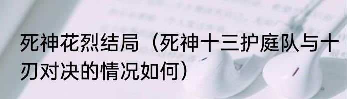 死神花烈结局（死神十三护庭队与十刃对决的情况如何）