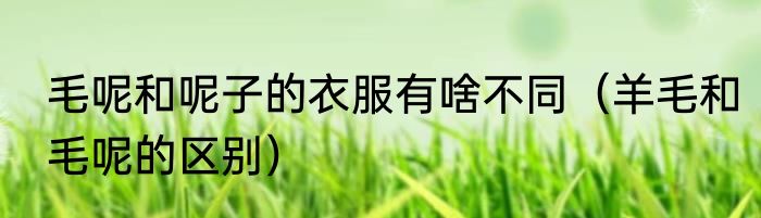 毛呢和呢子的衣服有啥不同（羊毛和毛呢的区别）