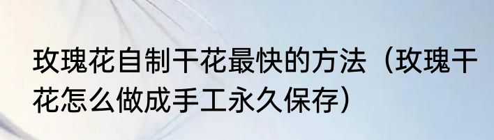 玫瑰花自制干花最快的方法（玫瑰干花怎么做成手工永久保存）