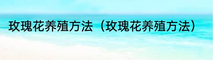 玫瑰花养殖方法（玫瑰花养殖方法）