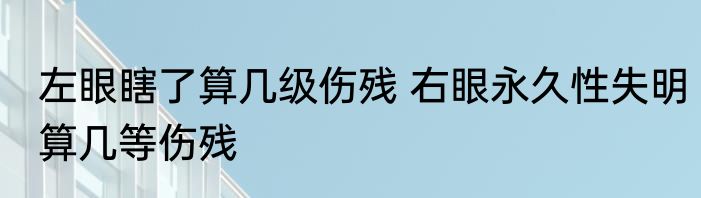 左眼瞎了算几级伤残 右眼永久性失明算几等伤残