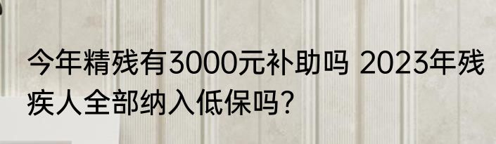 今年精残有3000元补助吗 2023年残疾人全部纳入低保吗？