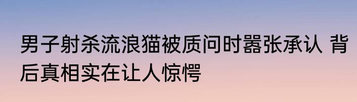 男子射杀流浪猫被质问时嚣张承认 背后真相实在让人惊愕