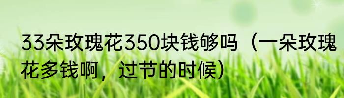 33朵玫瑰花350块钱够吗（一朵玫瑰花多钱啊，过节的时候）
