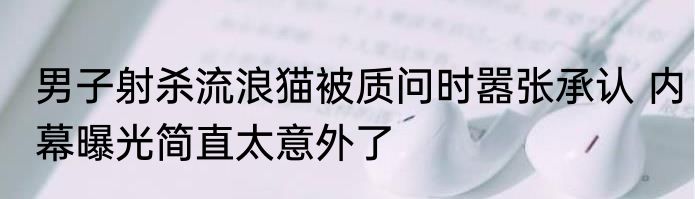 男子射杀流浪猫被质问时嚣张承认 内幕曝光简直太意外了