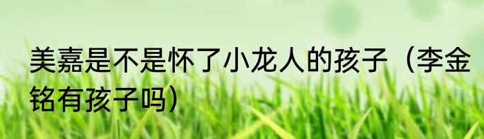 美嘉是不是怀了小龙人的孩子（李金铭有孩子吗）