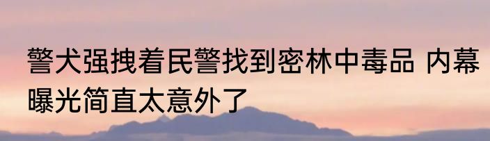 警犬强拽着民警找到密林中毒品 内幕曝光简直太意外了