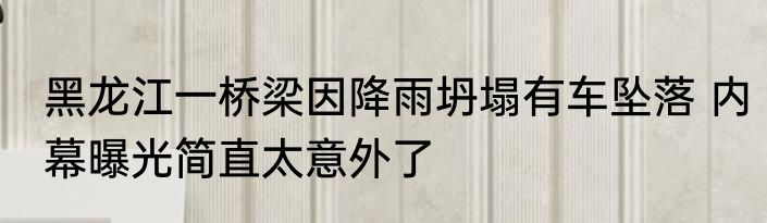 黑龙江一桥梁因降雨坍塌有车坠落 内幕曝光简直太意外了