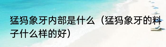 猛犸象牙内部是什么（猛犸象牙的料子什么样的好）