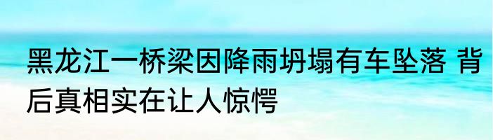 黑龙江一桥梁因降雨坍塌有车坠落 背后真相实在让人惊愕