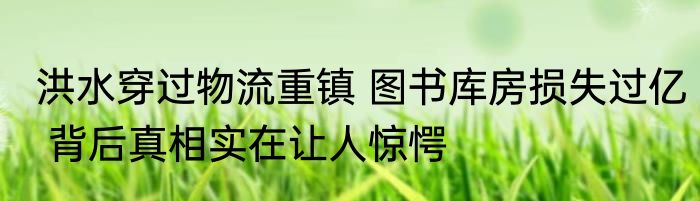 洪水穿过物流重镇 图书库房损失过亿 背后真相实在让人惊愕