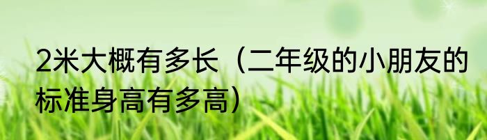 2米大概有多长（二年级的小朋友的标准身高有多高）