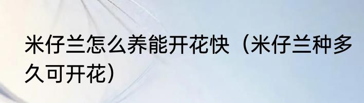 米仔兰怎么养能开花快（米仔兰种多久可开花）