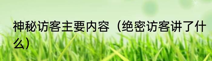 神秘访客主要内容（绝密访客讲了什么）