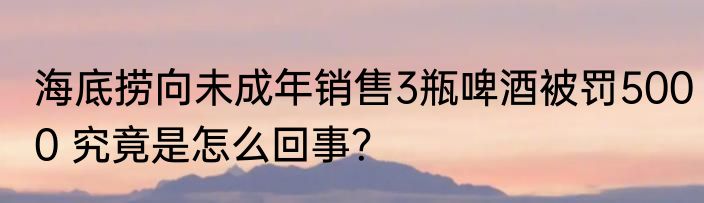 海底捞向未成年销售3瓶啤酒被罚5000 究竟是怎么回事？