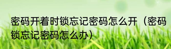 密码开着时锁忘记密码怎么开（密码锁忘记密码怎么办）