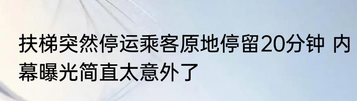 扶梯突然停运乘客原地停留20分钟 内幕曝光简直太意外了
