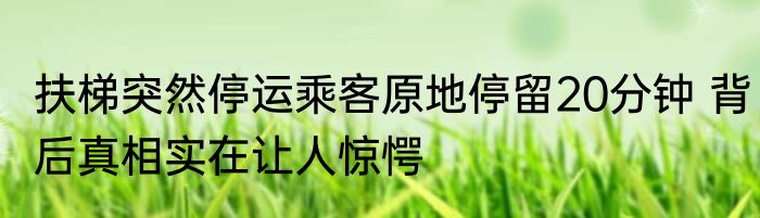 扶梯突然停运乘客原地停留20分钟 背后真相实在让人惊愕