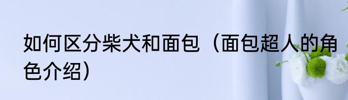 如何区分柴犬和面包（面包超人的角色介绍）