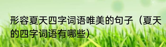 形容夏天四字词语唯美的句子（夏天的四字词语有哪些）