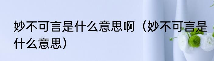 妙不可言是什么意思啊（妙不可言是什么意思）