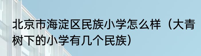 北京市海淀区民族小学怎么样（大青树下的小学有几个民族）