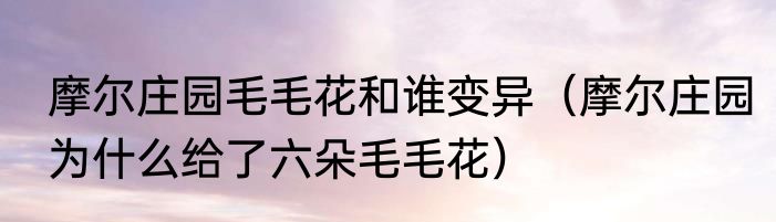 摩尔庄园毛毛花和谁变异（摩尔庄园为什么给了六朵毛毛花）