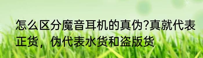 怎么区分魔音耳机的真伪?真就代表正货，伪代表水货和盗版货