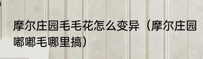 摩尔庄园毛毛花怎么变异（摩尔庄园嘟嘟毛哪里搞）