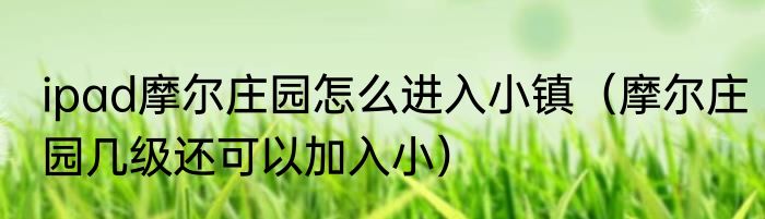 ipad摩尔庄园怎么进入小镇（摩尔庄园几级还可以加入小）