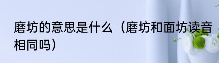 磨坊的意思是什么（磨坊和面坊读音相同吗）
