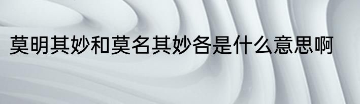 莫明其妙和莫名其妙各是什么意思啊