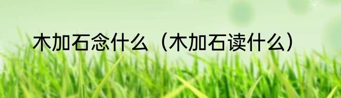 木加石念什么（木加石读什么）