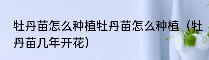 牡丹苗怎么种植牡丹苗怎么种植（牡丹苗几年开花）