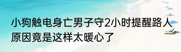 小狗触电身亡男子守2小时提醒路人 原因竟是这样太暖心了