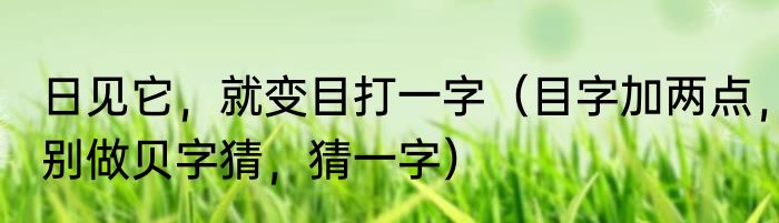 日见它，就变目打一字（目字加两点，别做贝字猜，猜一字）
