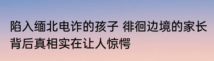 陷入缅北电诈的孩子 徘徊边境的家长 背后真相实在让人惊愕