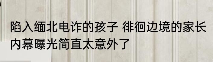 陷入缅北电诈的孩子 徘徊边境的家长 内幕曝光简直太意外了