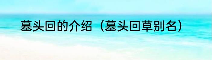 墓头回的介绍（墓头回草别名）
