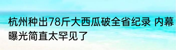 杭州种出78斤大西瓜破全省纪录 内幕曝光简直太罕见了