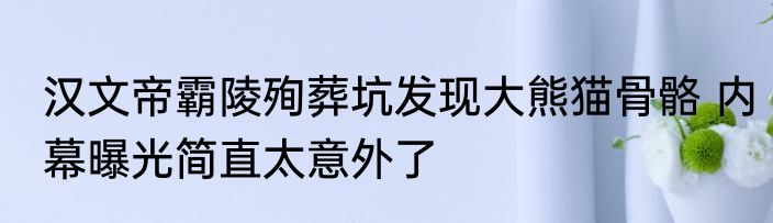 汉文帝霸陵殉葬坑发现大熊猫骨骼 内幕曝光简直太意外了