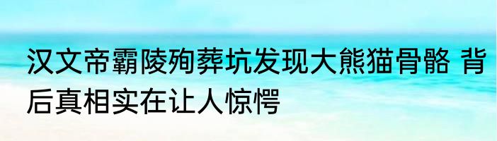 汉文帝霸陵殉葬坑发现大熊猫骨骼 背后真相实在让人惊愕