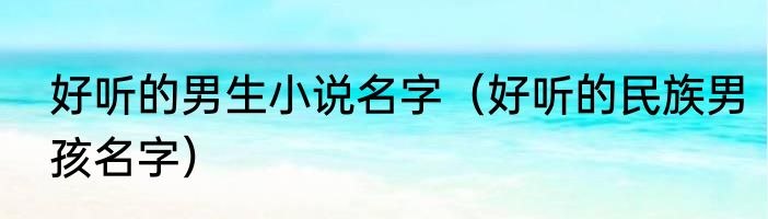 好听的男生小说名字（好听的民族男孩名字）