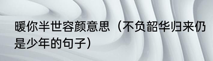 暖你半世容颜意思（不负韶华归来仍是少年的句子）