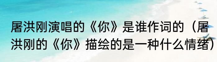 屠洪刚演唱的《你》是谁作词的（屠洪刚的《你》描绘的是一种什么情绪）
