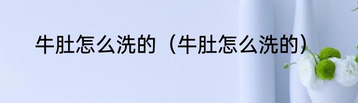 牛肚怎么洗的（牛肚怎么洗的）