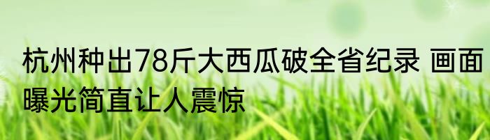 杭州种出78斤大西瓜破全省纪录 画面曝光简直让人震惊