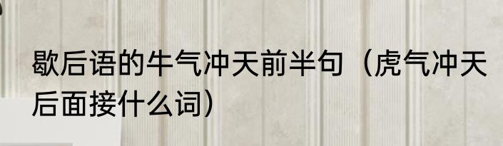 歇后语的牛气冲天前半句（虎气冲天后面接什么词）