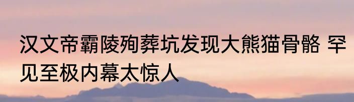 汉文帝霸陵殉葬坑发现大熊猫骨骼 罕见至极内幕太惊人